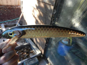 F4002014-4F8D-40D1-8E62-2ECAA0666981