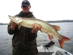 F413734C-F7EC-4852-881D-CBEB4003E685