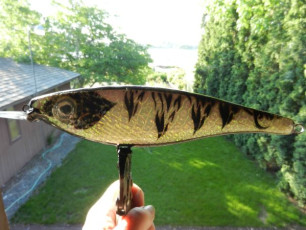 F4516ABB-8F1E-4BFB-B91C-746536AF1210