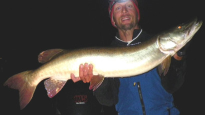 F47DA420-F6F6-46A2-8162-5FE7C6069305