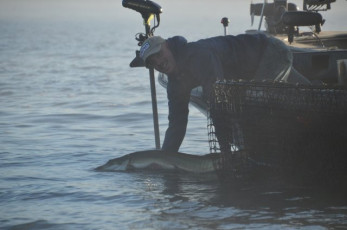 F4FBE640-4E19-4EE5-BFC9-AFFF49438D13