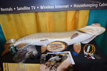 F567A354-6707-4EA4-A509-C21CF42BFE59