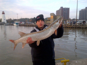 F5A89A9A-9F3B-4272-B488-C83E88360B30