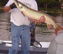 F6123655-F61A-49FF-9D19-15EEF4504F27