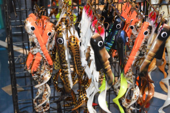 F6A518A0-22A7-480E-8877-E5282EFDA4F5