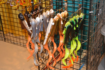 F6BBCC92-DBDE-4F26-A439-49B3B3DA743E