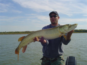 F74861D1-E5AB-4A1D-B726-12730748ABD4