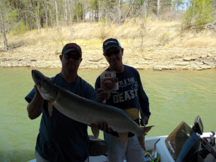 F816760B-B690-43DA-8A5C-D29A922556D7