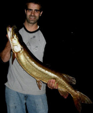 F8241666-B209-425A-9CD7-97071AB6D84F