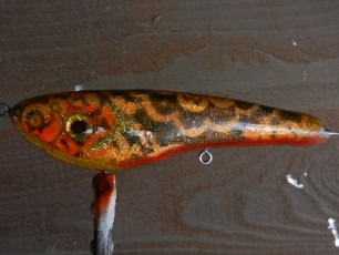 F83BC9EB-370E-43B5-A1A4-A036DE361F8C