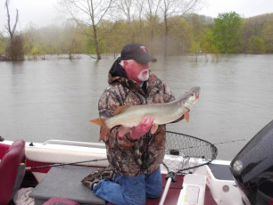 F8C65F38-2F26-4E81-92C2-2E3D311EEFB7