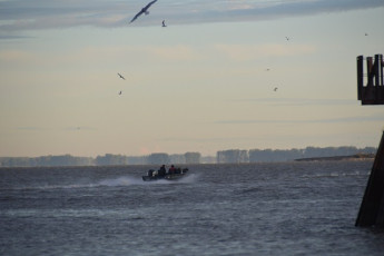 F8D42B3A-069A-44C2-9F0B-4DC787855A81