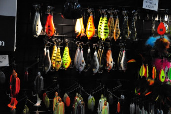 F8F1529D-82C5-4F15-8942-8FF67CF3D7B7