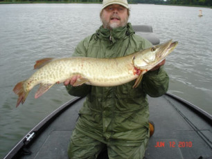 F976E377-220E-4838-A65A-2E2FC9D64852