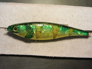 F9C0916D-F3FA-46AD-83D8-81A8D4428323