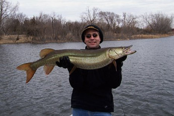 FA3D220D-AC97-4127-97F4-20DEAFE8878F