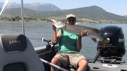 FA51D991-B5D5-4DE9-9438-E9269E696A16