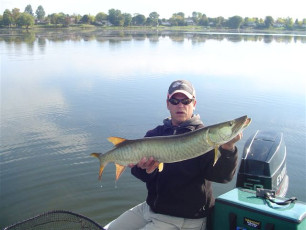 FA7910AA-F57F-4E2B-8009-66D2DF62448A