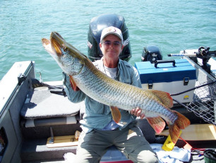 FAC2A54B-81EE-4FBD-8EB9-559DA63706A3