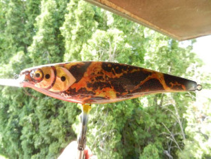 FC816679-6047-4126-BA19-78A99172E302