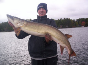 FD151988-321F-4CE4-B311-FCA225C249E7