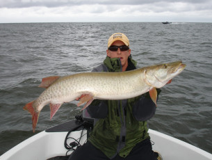 FD218735-2A74-49BB-8853-86C0AB05CCE7