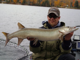 FD623A4A-870B-40C1-8D97-AC1A48C2E955