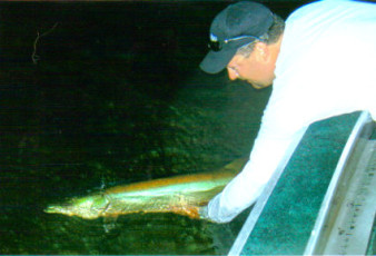 FD780D8E-B6ED-4D60-917E-AF63959D4E52