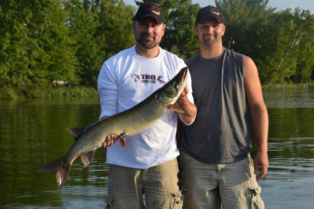 FE404C41-9B30-4CAA-82AA-3AF21F58AFE2