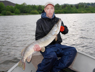 FE6D4A3B-BECB-4A06-BD33-A375872EF3FF