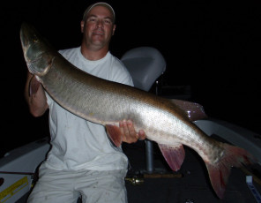 FE8E61F0-5355-4DA5-9246-0D94E476C8E8