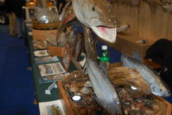 FEA44020-7FB9-4DD0-A4D9-37406B5FABC6