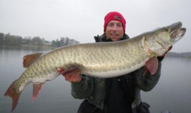 FECF3DAE-708D-4FA5-9745-96D91222FE00