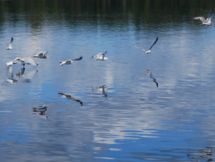 FEE2A4C4-297E-4335-BB01-D9DA36D8DFF3