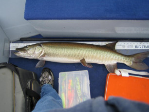 FF2E7485-D22E-4CB4-9937-E9CA85F91614