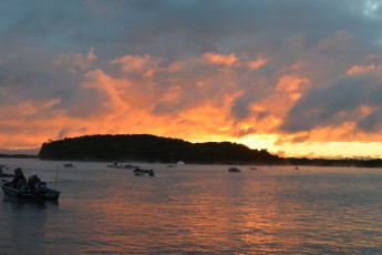 FF85B9D2-0C67-4864-97DC-1B3DD614161A