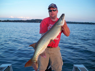 FF86173F-C9E2-4CEF-863D-F3C3518182AF