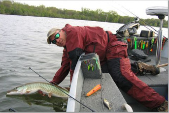 FF98E6B8-43AE-4567-B648-E7650119603E