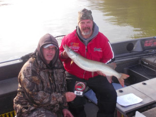 FFA78030-B5BB-484B-BBA0-65EEF3E24554