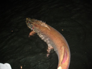 a0097628-6b8a-44ff-b89a-c20d0c305042