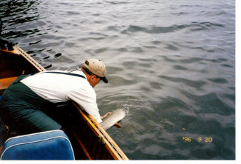 a15d1406-5445-4497-a193-df9c55d96bb0