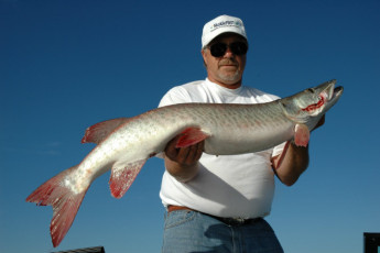 a1cdab28-450f-4c90-83e5-62c8449fae3a