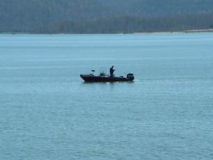 a236030d-f175-4ec5-aa86-45cbc98ec2f6