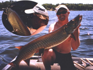 a2632eb4-8575-4078-937a-db1242c46bef