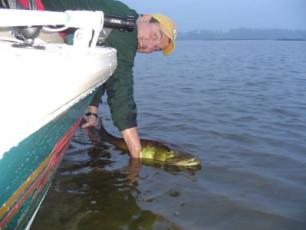 a2dc54bd-ebf3-4a43-9fa1-9d1b6f74c58f