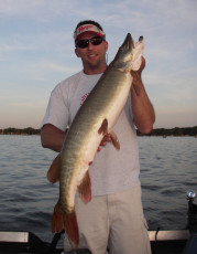 a43bbd41-f978-4b00-af06-ab62393d72cc