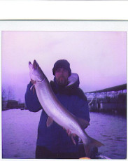 a54731e7-8c12-4998-9a67-9866892efc98