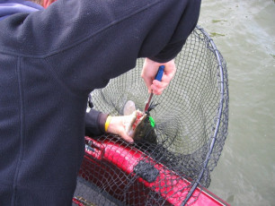 a57011fb-5bd5-475a-baf9-aa2956a7fba6