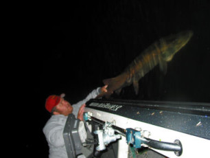 a64da3d7-9dbb-45a8-a433-6598ae1fb568