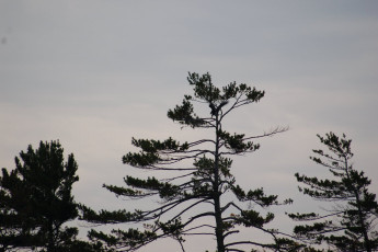 a6bac927-7916-4c8d-80c3-34d8b4a1837d